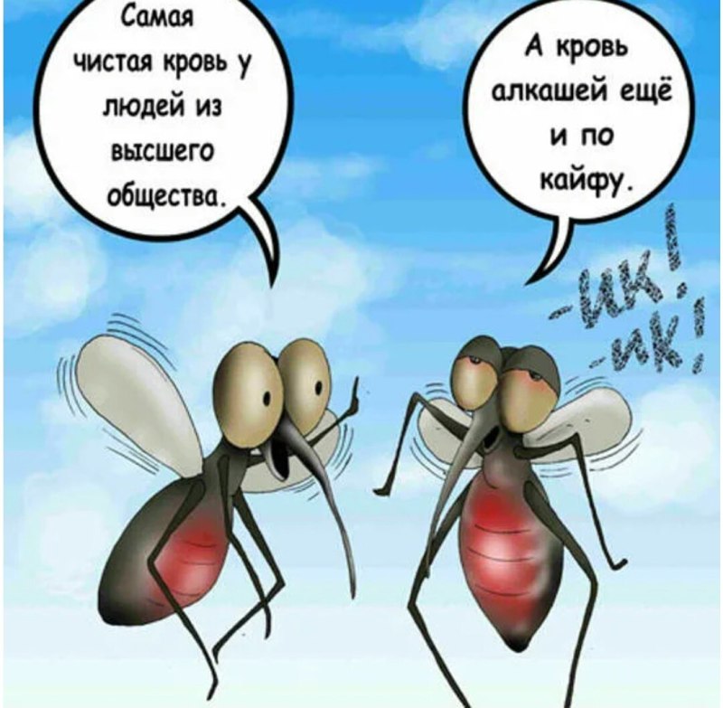 Шутка про комара