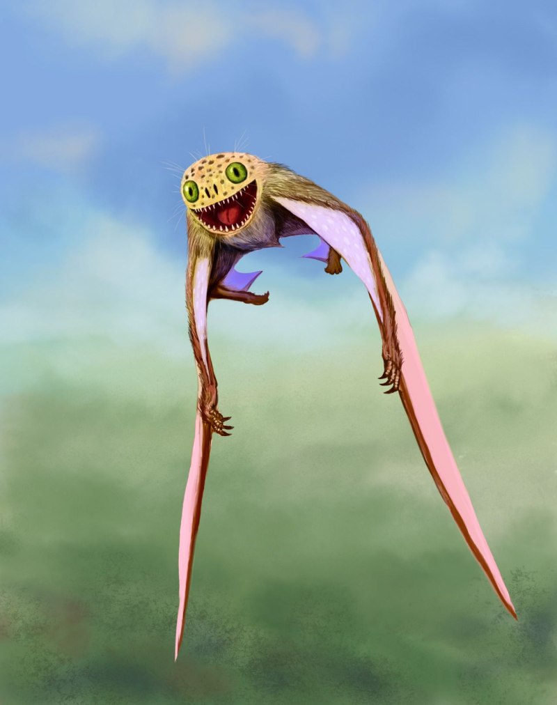 Anurognathus Ammoni