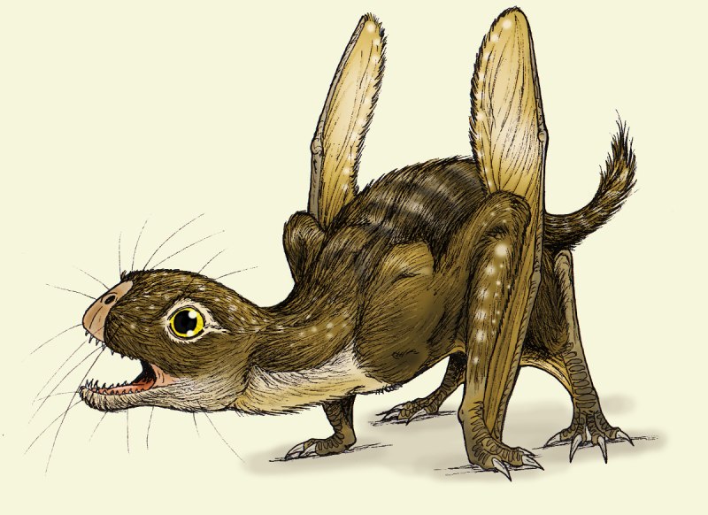 Anurognathus Ammoni