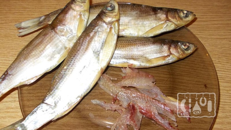 Рыбец и Шамайка