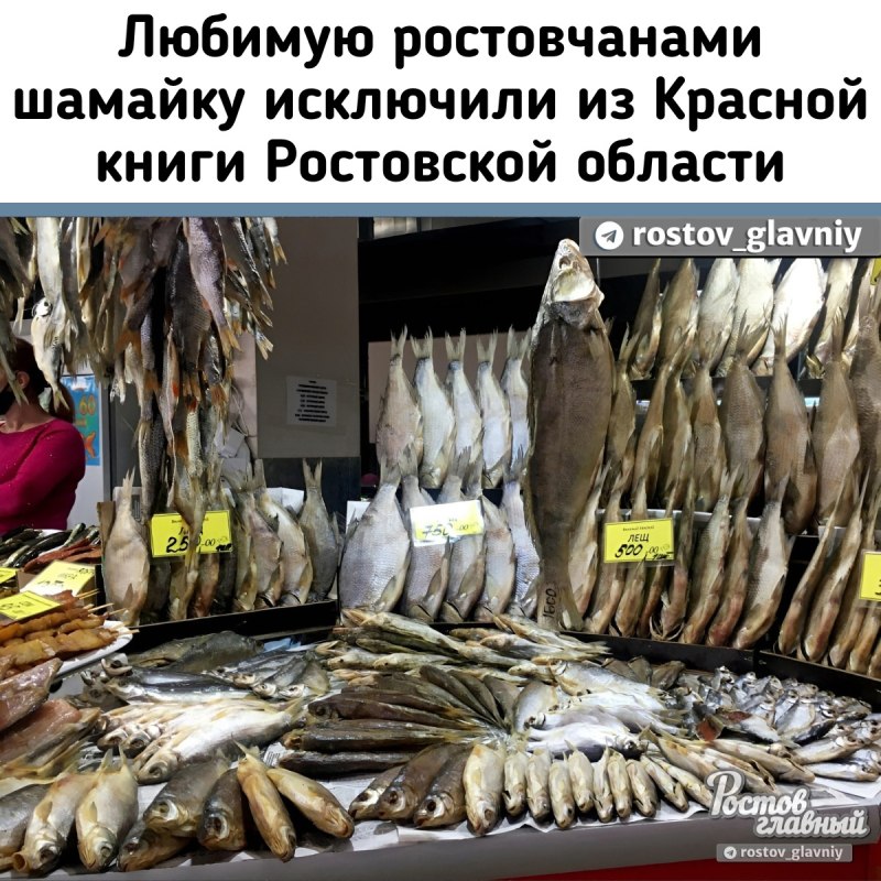 Шарман рыба вяленая