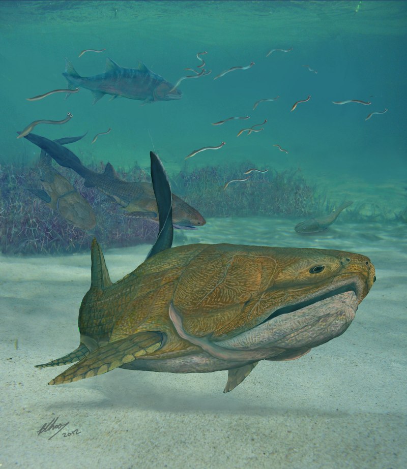 Entelognathus primordialis