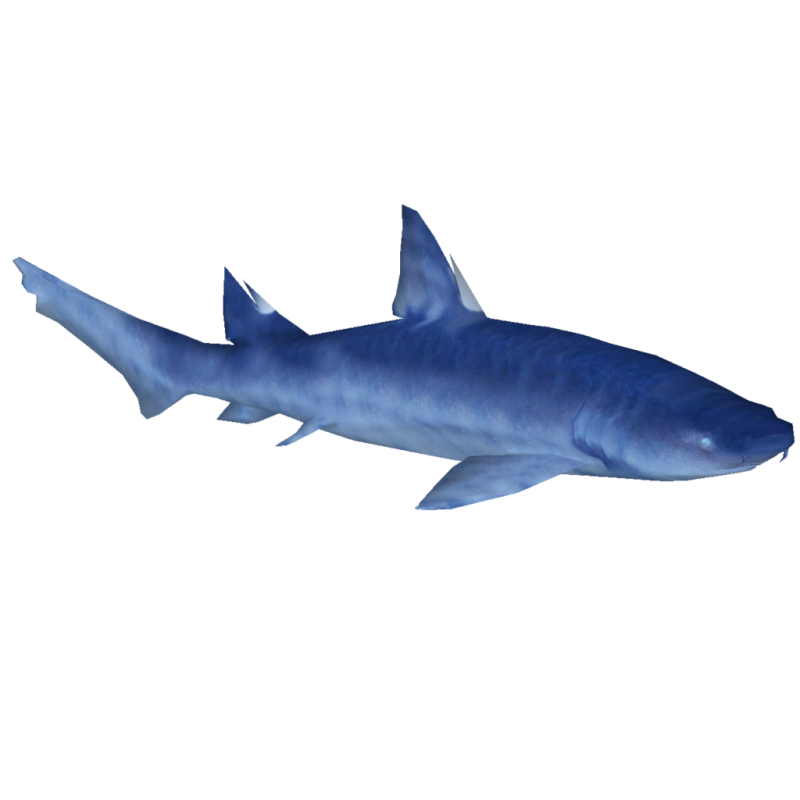 Ptychodus rugosus