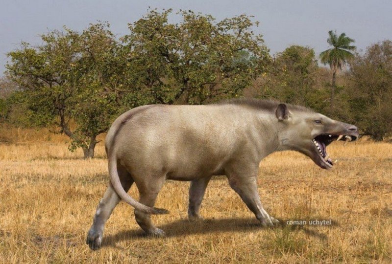 Andrewsarchus mongoliensis