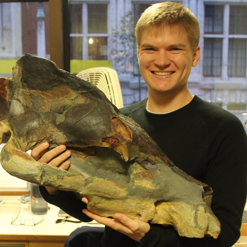 Megistotherium osteothlastesа