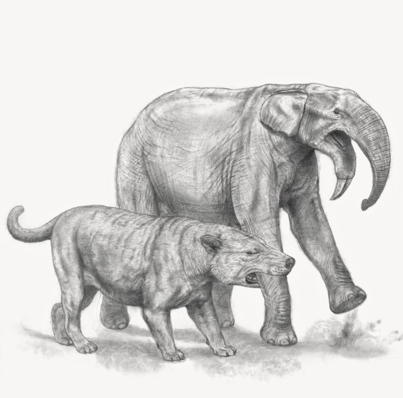 Simbakubwa kutokaafrika