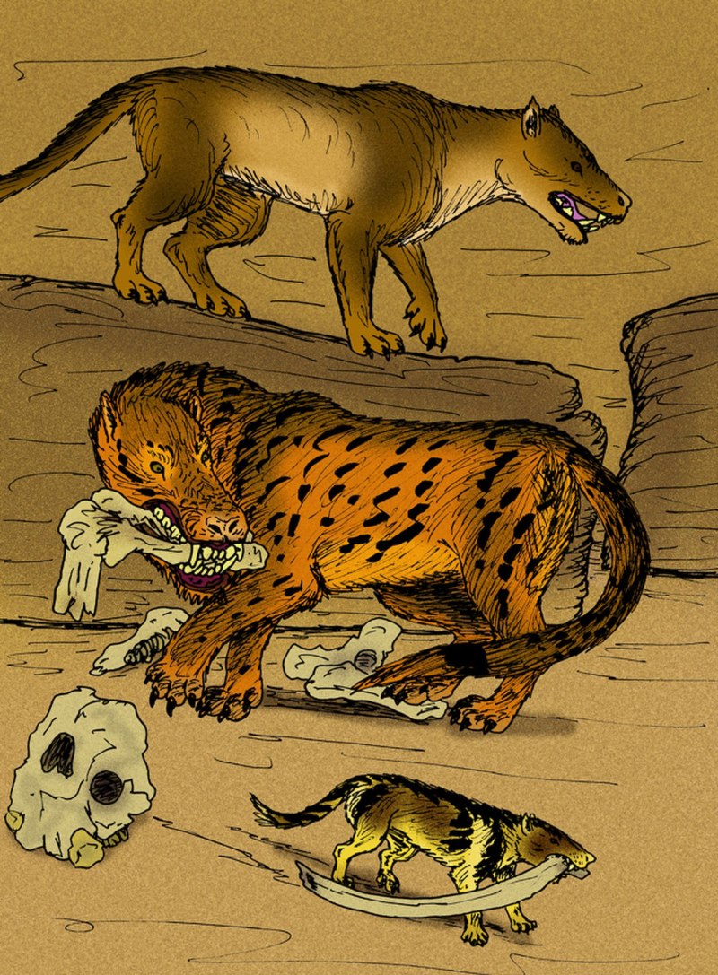 Megistotherium osteothlastes