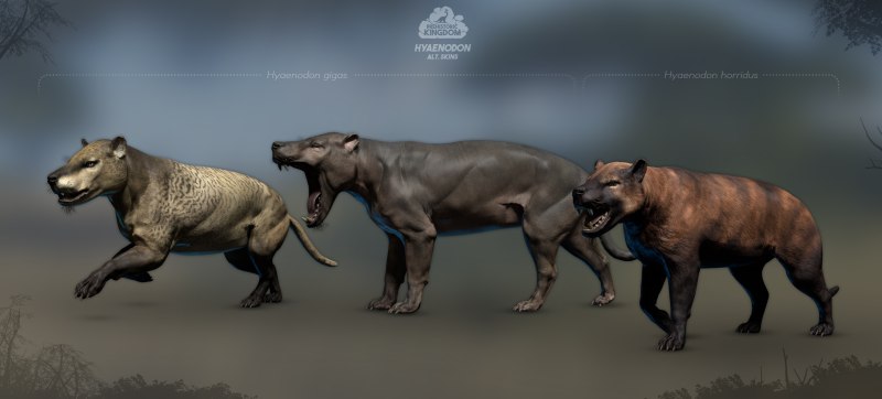 Hyaenodon horridus