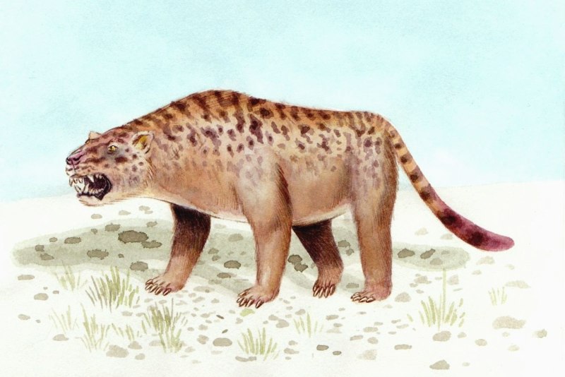 SARKASTODON mongoliensis