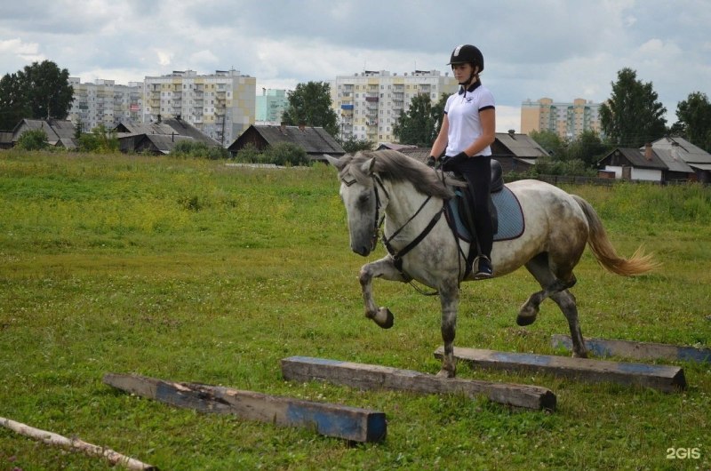 Конный клуб Кольцово