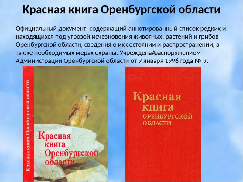 Растения и животные Оренбургской области занесенные в красную книгу