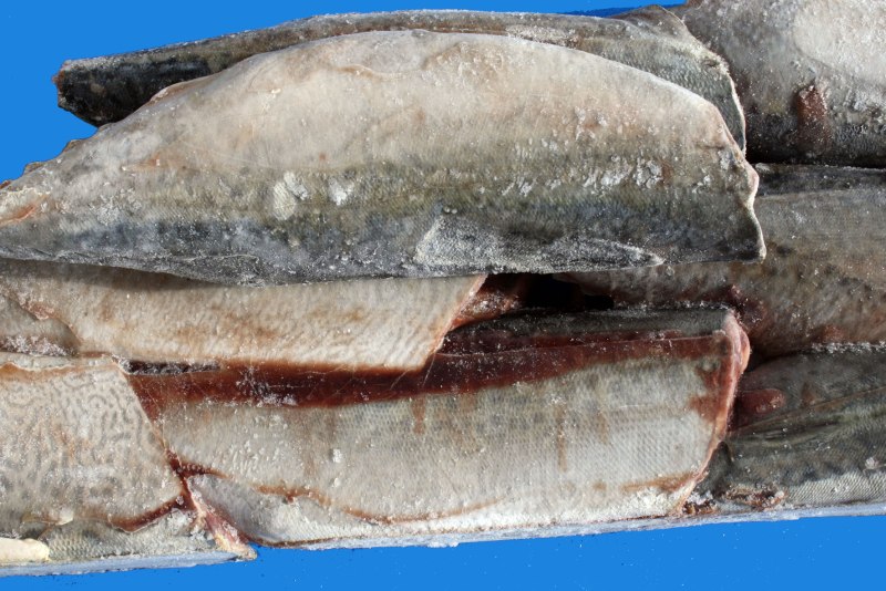 Голубая скумбрия