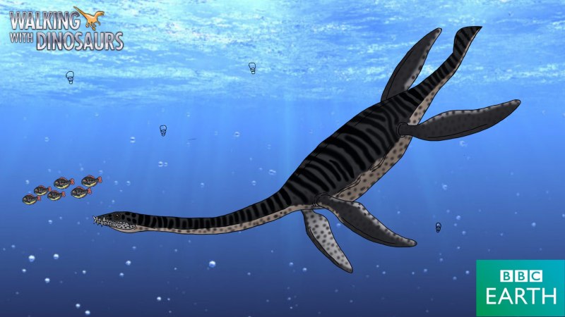 Plesiosaurus dolichodeirus