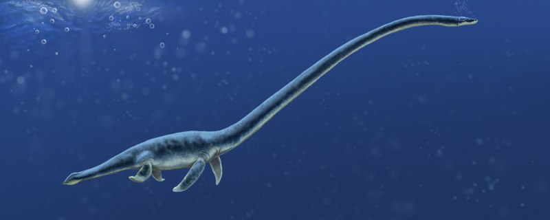 Морской ящер Эласмозавр