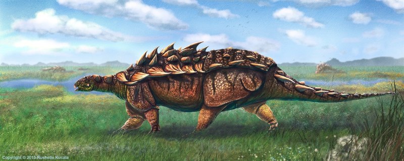 Gastonia Burgei