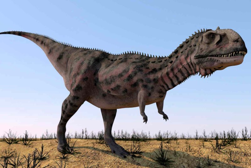 Majungasaurus Атучин