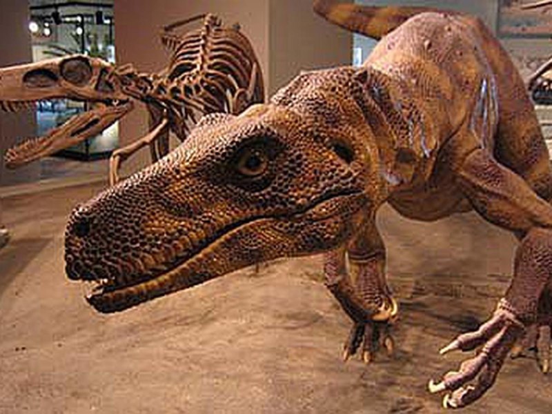 Herrerasaurus динозавр