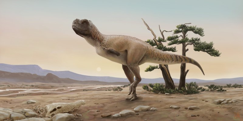 Ulughbegsaurus uzbekistanensis