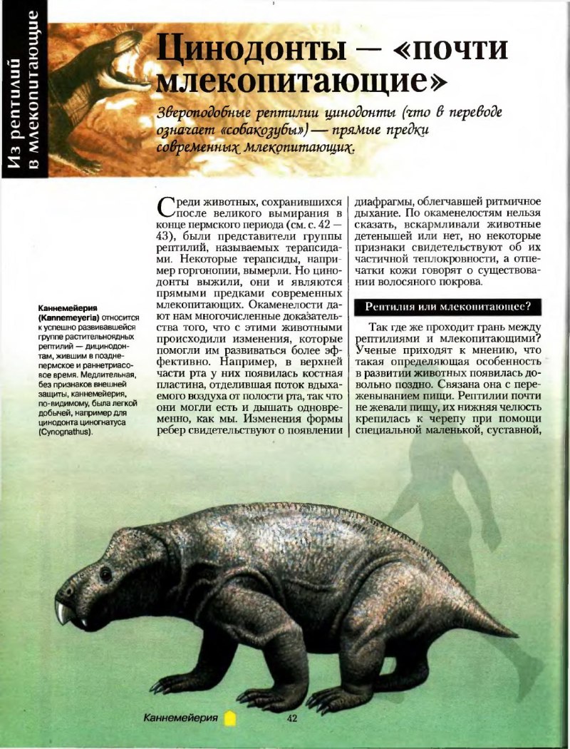 Большая энциклопедия доисторических животных Алан Тернер