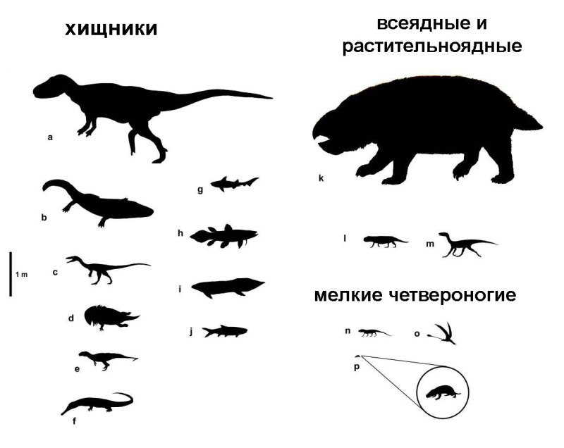 Доисторические животные с названиями
