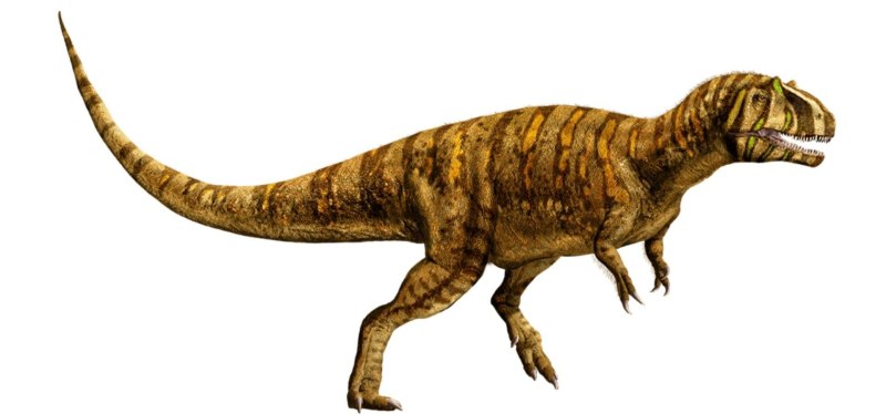 МЕТРИАКАНТОЗАВР Jurassic World