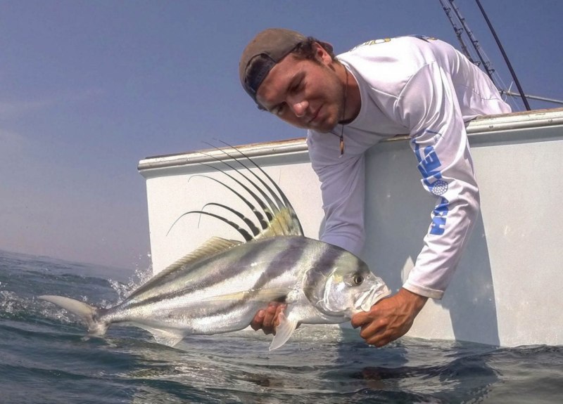 Roosterfish внутри