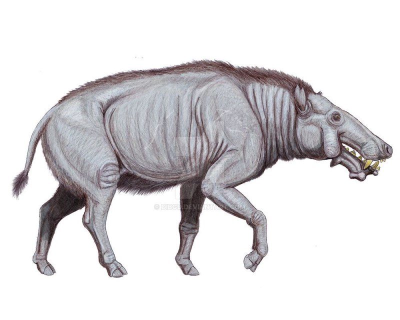 Энтелодон (Entelodon