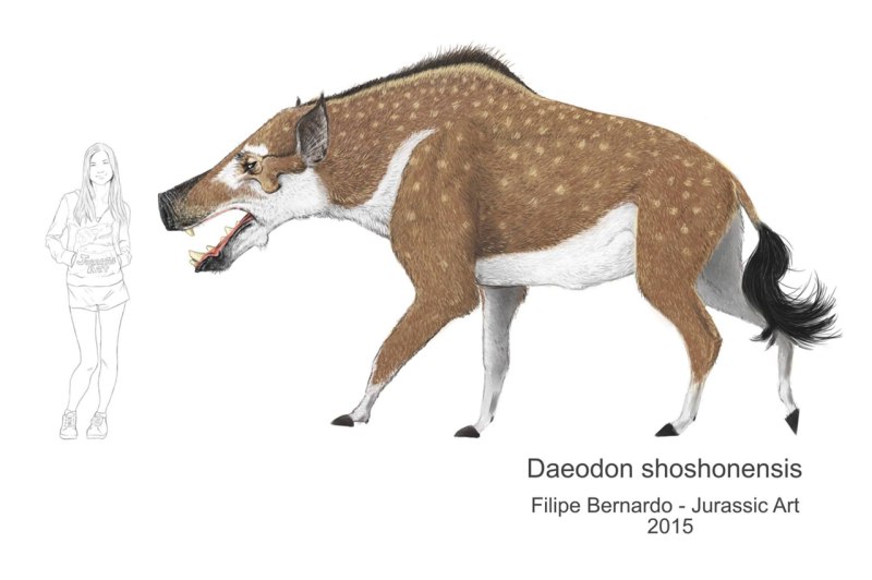 Daeodon shoshonensis