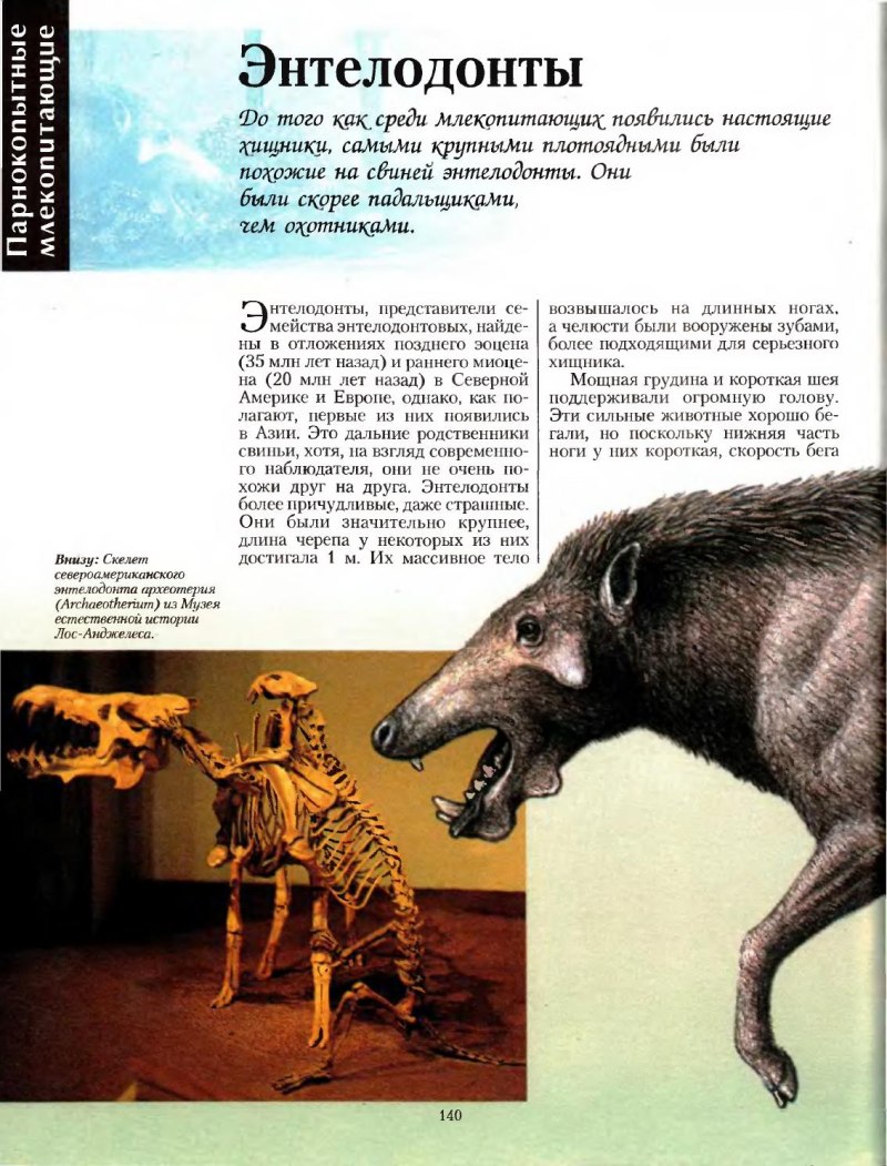 Большая энциклопедия доисторических животных Алан Тернер