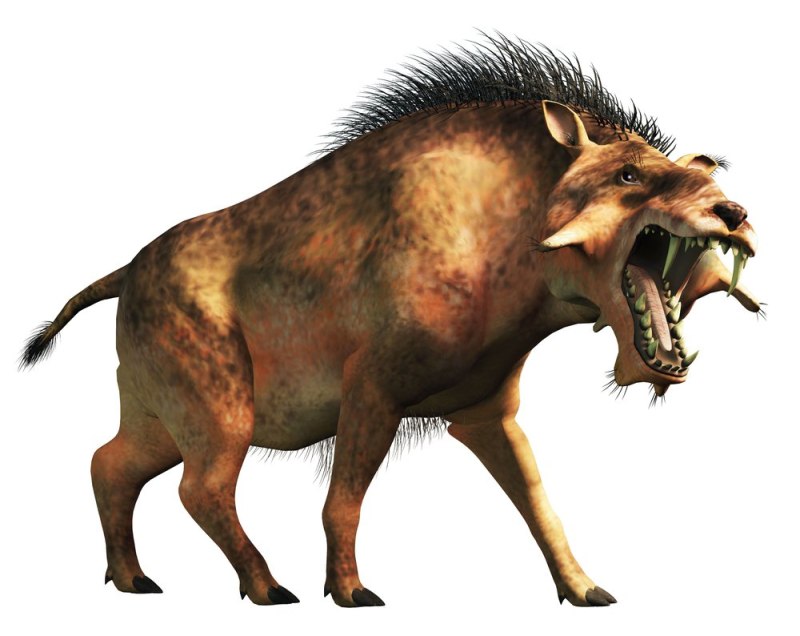 Энтелодон (Entelodon
