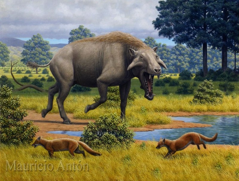 Энтелодон (Entelodon