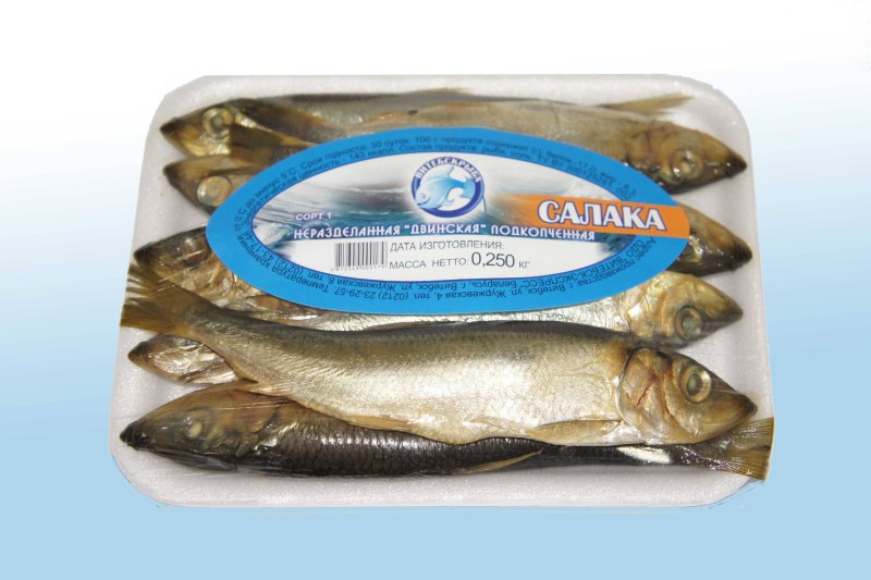 Рыба салака холодного копчения