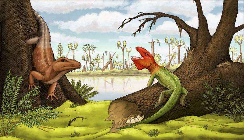 Petrolacosaurus Kansensis