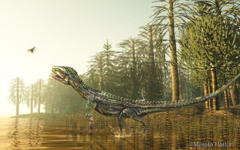 Euparkeria динозавр