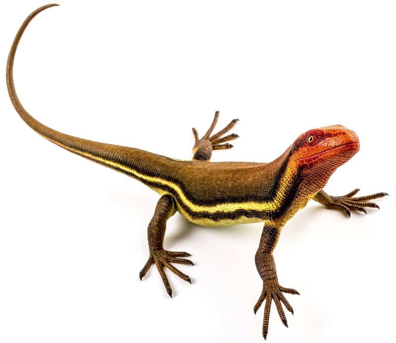 Гилономус (Hylonomus)