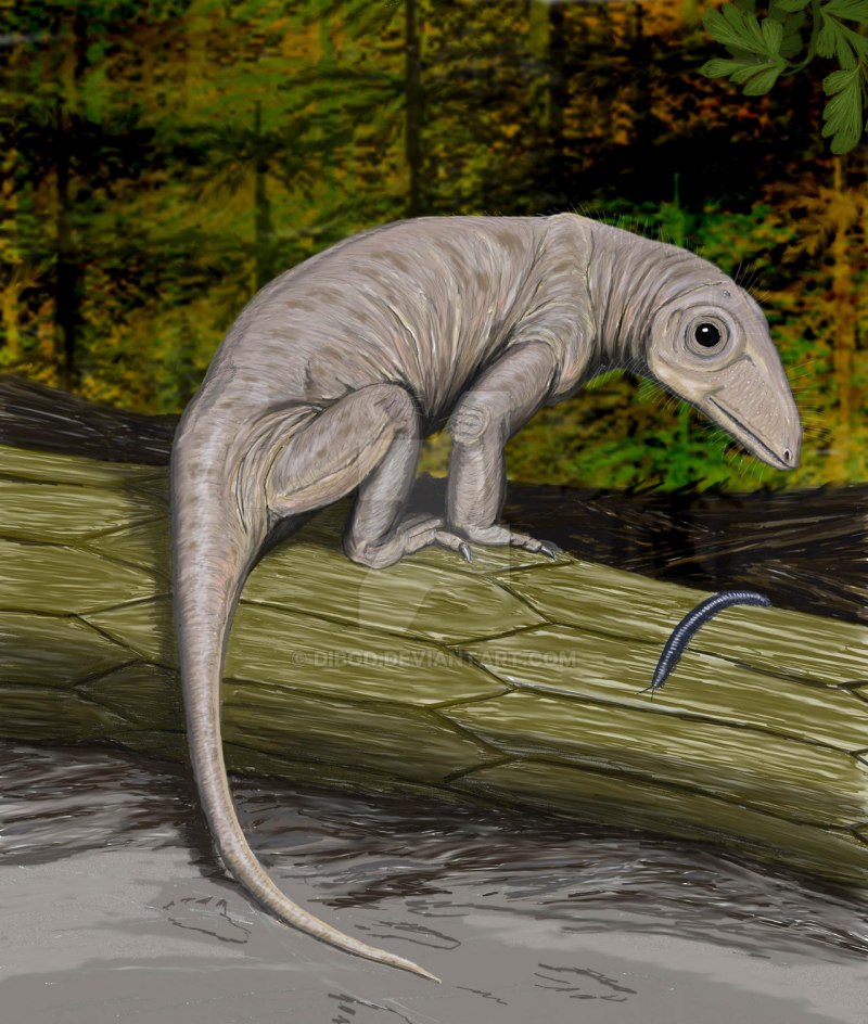 Nikkasaurus tatarinovi