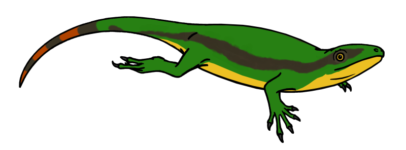 Paleothyris Acadiana
