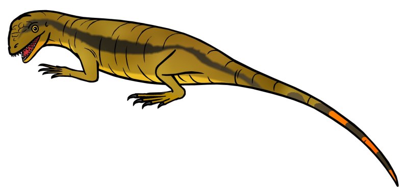 Paleothyris Acadiana