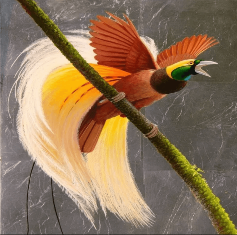 Райская птичка (1932) (Bird of Paradise)