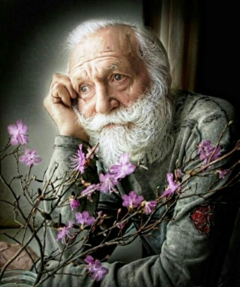 Седой старик