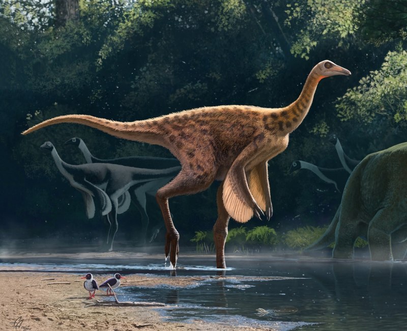 Savannasaurus elliottorum