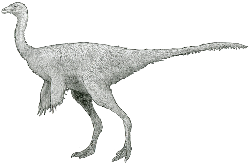Орнитомимозавров (Ornithomimosauria)