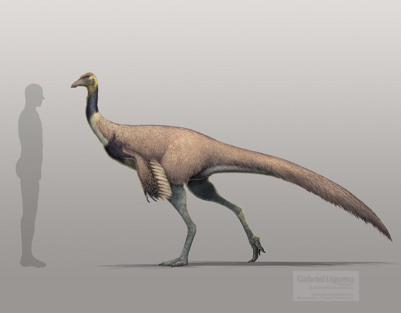 Ornithomimus (орнитомим)