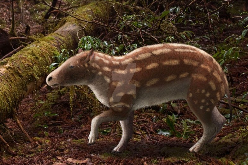 Пропалеотерий (Propalaeotherium)