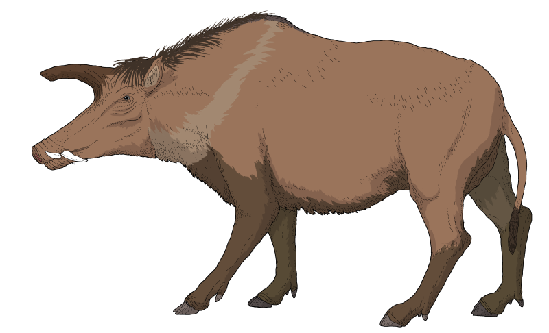 Deinotherium Ark