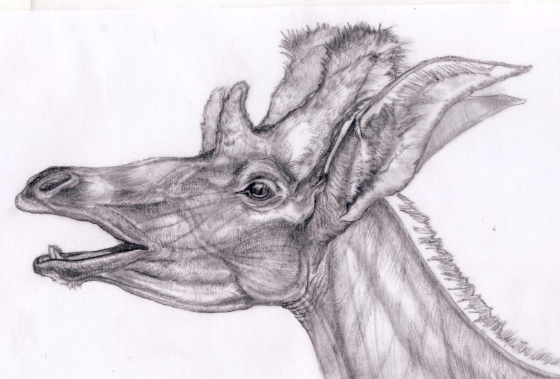 Helladotherium
