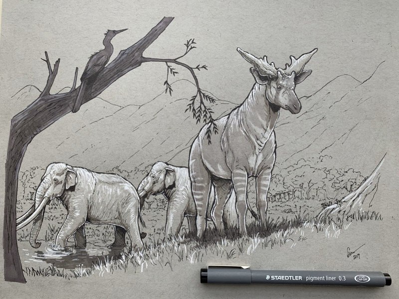 Sivatherium giganteum