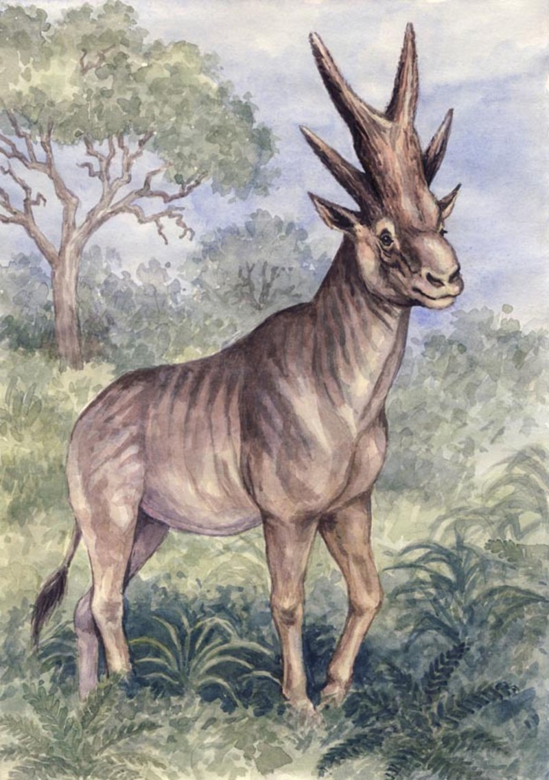 Bramatherium perimense