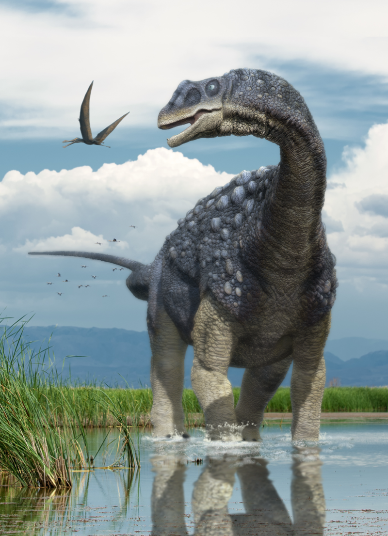 Diamantinasaurus matildae