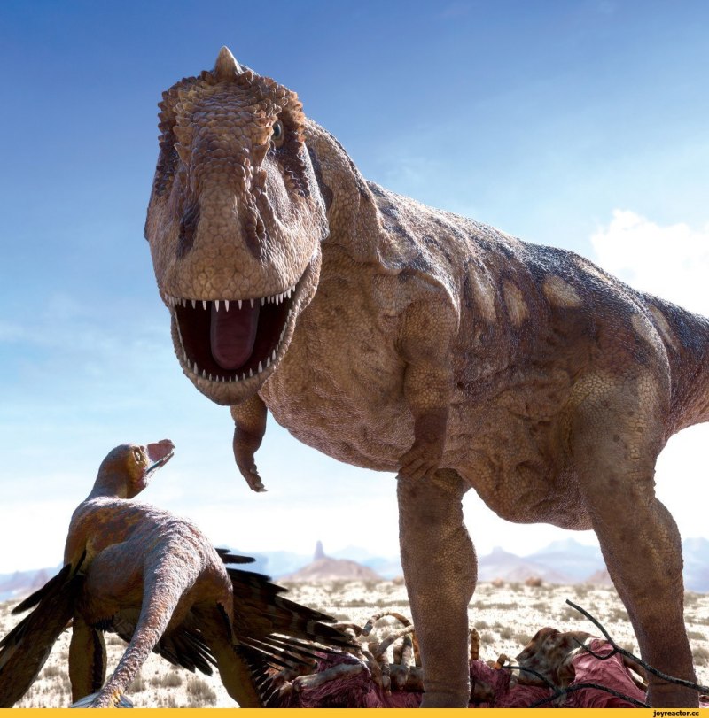 Планета динозавров / Planet Dinosaur 2011